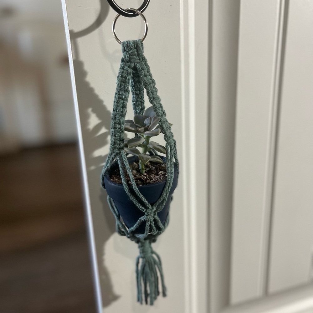 Mini Handmade Macrame Plant Hanger